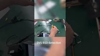 #bsd #bsdcamera #DVS #monitor #detection #shorts