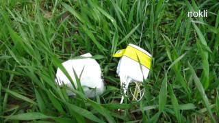 Radiosonde  RS92- SGPA