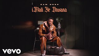 Sam Deep, MalumNator - iMALI YE NTWANA (Visualizer) ft. Zwayetoven