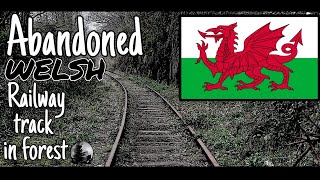 Creepy old abandoned Welsh railway line | I Talk Cryptids