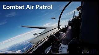 DCS | Providing Combat Air Patrol | F-14A | Tempest Blue Server