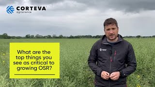 Let's talk about oilseed rape with David Marsland