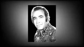 شهاب محبی (ایرج غزل خوان منی) shahab mohebbi