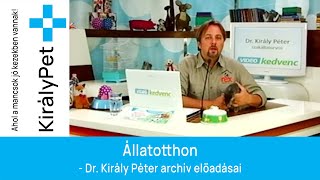 Állatotthon