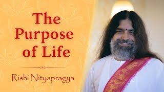 The Purpose of Life