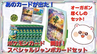 あのカードが出た！？ポケモンカード　スペシャルジャンボカードセット！変幻の仮面！