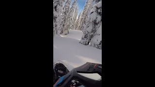 One minute of pure snowmobiling BLISS!