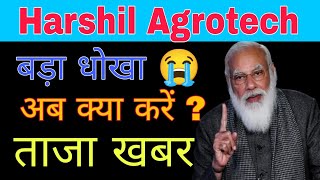 harshil Agrotech share latest news today || harshil Agrotech share analysis today