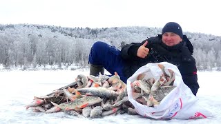 МЕШОК РЫБЫ С ЛУНКИ. РЫБАЛКА В КРАСИВЕЙШЕМ МЕСТЕ.