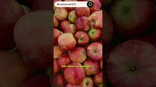 Fakta menarik buah apel@rudichanell237#viralvideo