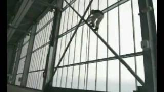 parkour76 (ROUEN)  " guillaume perot " adepte des arts-martiaux chinois