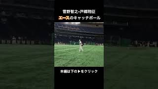 菅野智之×戸郷翔征 エースのキャッチボール