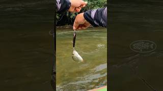 Mancing di arus deras