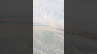 Quiet morning beach walks #oceanwaves #couples #couplegoals #beachwalk #dronefootage #djimini2