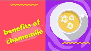 Potential Benefits and Side Effects of Chamomile