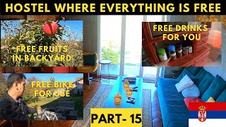 Hostel where Everything is FREE | Serbia, Europe | Mystic River Hostel ( With Eng Subtitles )