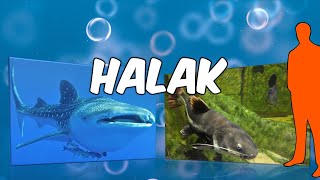 A halak ( ismeretterjesztő gyerekeknek )🦈🐟🐡