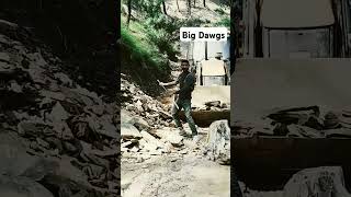 Hanumankind - Big Dawgs | Lirics | Aesthetic | Edit #shorts #hiphop #viral #youtubeshorts #trending