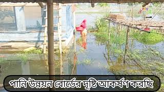 বন্যার পানি নিস্কাশনের জন্য পানি উন্নয়ন বোর্ডের দৃষ্টি আকর্ষণ করছি। #মন্ত্রালয় #বোর্ড