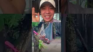 HN Official | Khoảnh Khắc Tuyệt Vời Ep6 #shorts