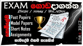 🎓 ලග Exam  එන වලට බය නැතුව මූණ දෙන්න මේ Website  එක පාවිච්චි කරන්න 📝 #exam #free