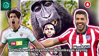 Mysterious Monkey predicts Athletico Madrid vs Elche CF match with correct score.