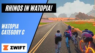 Racing Rhinos and Fake Finish Lines! // Rhino Migration // Watopia's Waistband