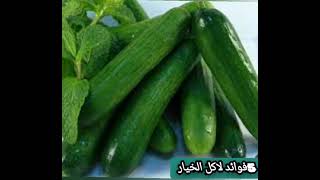 فوائد الخيار الاخضر 🥒🥒 المذهلة 🤗 تساعد على الهضم 🤩👍