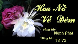 HOA NỞ VỀ ĐÊM - TRÍ VÕ