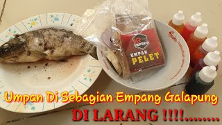 Umpan yang disebagiaan empang galapung di larang ,Bisa buat galatama ikan lele #061