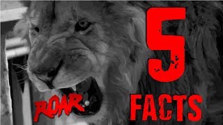 Roar (1981) - Five Facts with Tony