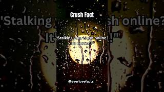 💞Crush Fact💞 Stalking Your Crush Online. ??..!#sychology #lovefact  #crushfact #relationship