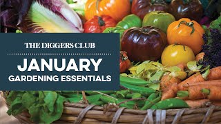 January Gardening Essentials