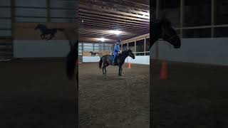 Jasper being spicy #dressage #shortvideos #horses #showjumping #jumping #equestrian #viralvideos