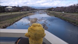 CYCLING IN KYOTO along the Kamo River (JAPAN BY BIKE #1)