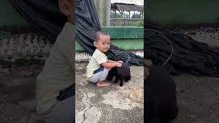 Bermain dengan kucing liar di lapangan volly #toddleractivities #babyactivities #bayiviral #catlover