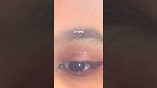 night makeup look pink and coral tone