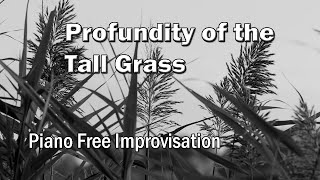 Profundity of the Tall Grass | PIANO Free Improvisation