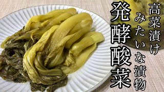 まるで高菜漬け⁈ からし菜の発酵酸菜の作り方