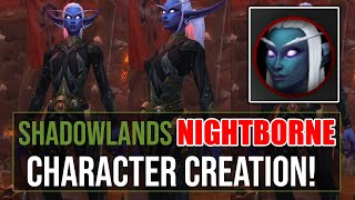 NEW Shadowlands FEMALE Nightborne Character Creation Options