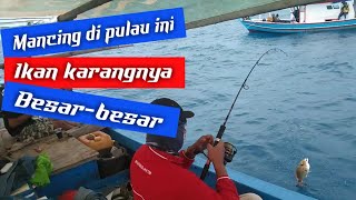 GA NYANGKA IKAN KARANG DISINI BESAR-BESAR