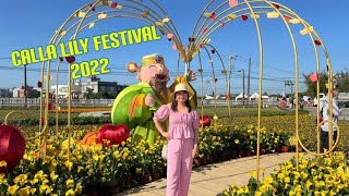 Taoyuan Calla Lily Festival 2022|Colored Calla Lily Festival Taoyuan,Taiwan