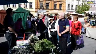 Farmářské trhy začaly ve čtvrtek "Květinovým trhem"