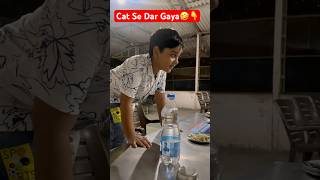 बिली से डर कर कुर्सी पर चढ़ गया ये लड़का🤣😃😀#shorts #funny #live #cat #fun #viralshort y