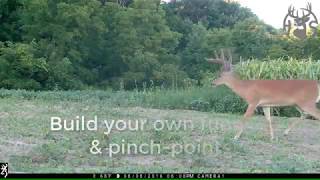 HS360,LLC Habitat & Hunting classes video.