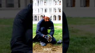 با کاشت یک نهال به زمین عشق بکاریم #shorts #youtube_viral #shortsviral #viral #Afghanistan