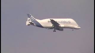 Aproximação do airbus beluga em Fortaleza