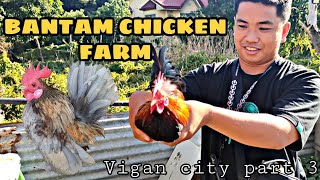 HONEST FARM😱 AMBAET MGA TAO DITO walang nagnanakaw ng mga manok😱 @Vigan City