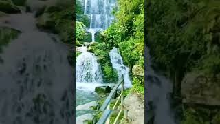 Darjeeling Rock Garden waterfall |short#subscribe #music