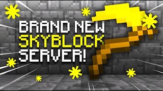 BRAND *NEW* SKYBLOCK SERVER OF 2024! | Minecraft Skyblock | 1.8 - 1.21